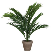 Artificial Plant - Areca Palm - MICA
